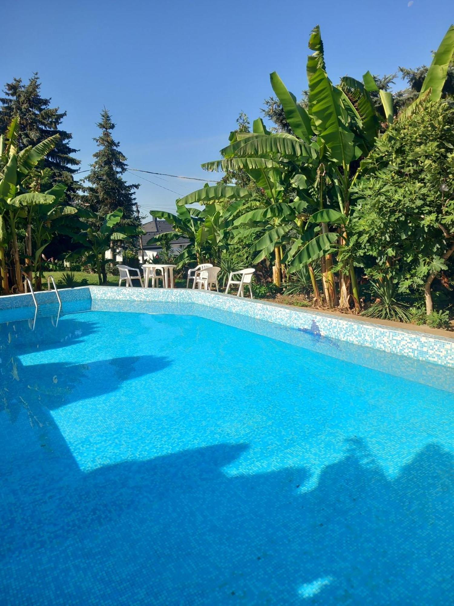 קסזטלי Palatinus Apartmanok מראה חיצוני תמונה
