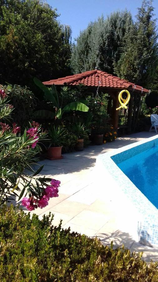 קסזטלי Palatinus Apartmanok מראה חיצוני תמונה