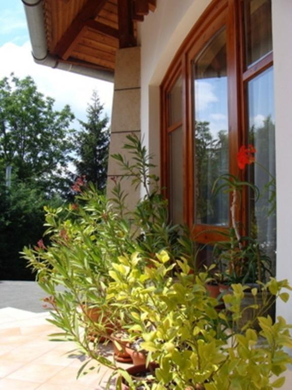קסזטלי Palatinus Apartmanok חדר תמונה